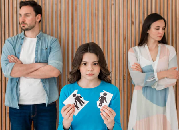 Creating Sustainable Agreements Through Guided Divorce Negotiations Stanley